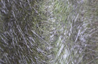 Haverton Hill fibreglass roof work